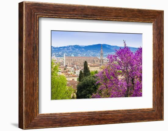 View of City Center of Florence, Firenze, UNESCO, Tuscany, Italy-Nico Tondini-Framed Photographic Print