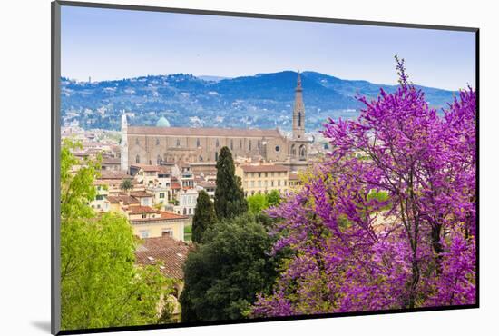 View of City Center of Florence, Firenze, UNESCO, Tuscany, Italy-Nico Tondini-Mounted Photographic Print