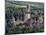 View of City from the Monument to the Battle of the Nations, 1913, Leipzig, Saxony, Germany-Ivan Vdovin-Mounted Photographic Print