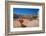 View of classic architecture and Vittorio Emanuele II statue in Piazza d'Italia in Sassari-Frank Fell-Framed Photographic Print