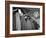 View of Cloakroom Showing the Hats of the Diplomats Attending Hamilton Lewis's Funeral-Thomas D^ Mcavoy-Framed Photographic Print