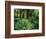 View of Clubmoss, Hoh Rainforest, Olympic National Park, Washington State, USA-Stuart Westmorland-Framed Photographic Print