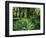 View of Clubmoss, Hoh Rainforest, Olympic National Park, Washington State, USA-Stuart Westmorland-Framed Photographic Print