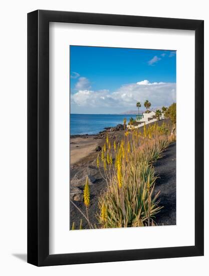 View of coastline and Playa El Barranquillo beach, Puerto Carmen, Lanzarote, Las Palmas-Frank Fell-Framed Photographic Print