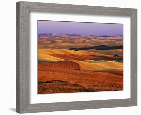 View of Colorful Palouse Farm Country at Twilight, Washington, USA-Dennis Flaherty-Framed Photographic Print