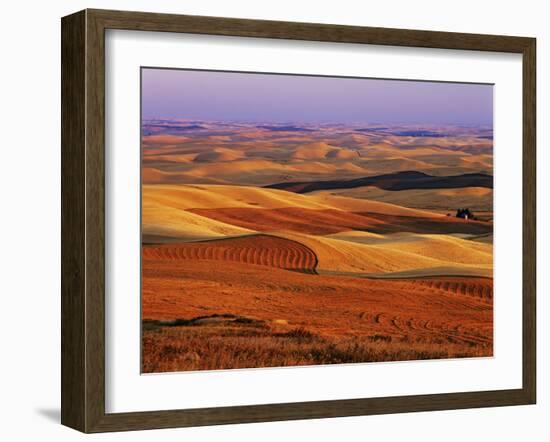 View of Colorful Palouse Farm Country at Twilight, Washington, USA-Dennis Flaherty-Framed Photographic Print