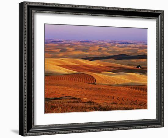 View of Colorful Palouse Farm Country at Twilight, Washington, USA-Dennis Flaherty-Framed Photographic Print