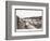 View of Construction of the Panama Canal with Concrete Forms, Trains, Digging Machines and…-Byron Company-Framed Giclee Print