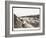 View of Construction of the Panama Canal with Concrete Forms, Trains, Digging Machines and…-Byron Company-Framed Giclee Print