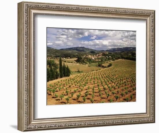 View of Corbieres Vineyard, Darban-Corbieres, Aude, Languedoc, France-David Barnes-Framed Photographic Print