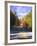 View of Country Road, Fall Foliage, Northeast Kingdom, Vermont, USA-Walter Bibikow-Framed Photographic Print