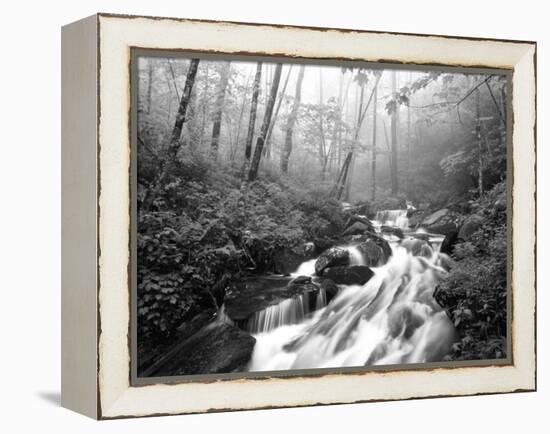 View of Cove Creek Covered with Fog, Pisgah National Forest, North Carolina, USA-Adam Jones-Framed Premier Image Canvas