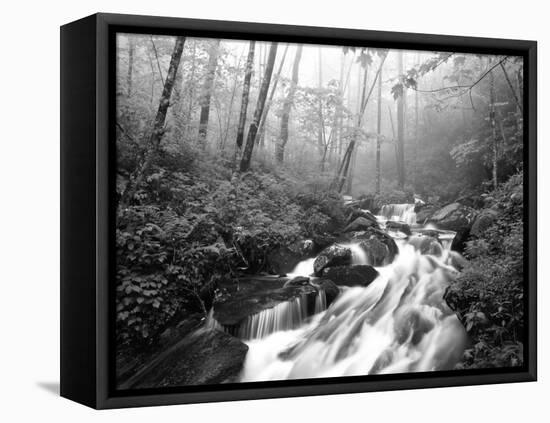 View of Cove Creek Covered with Fog, Pisgah National Forest, North Carolina, USA-Adam Jones-Framed Premier Image Canvas