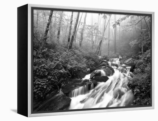 View of Cove Creek Covered with Fog, Pisgah National Forest, North Carolina, USA-Adam Jones-Framed Premier Image Canvas