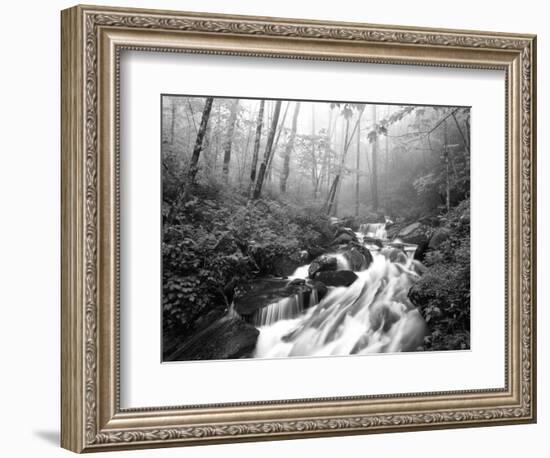 View of Cove Creek Covered with Fog, Pisgah National Forest, North Carolina, USA-Adam Jones-Framed Photographic Print