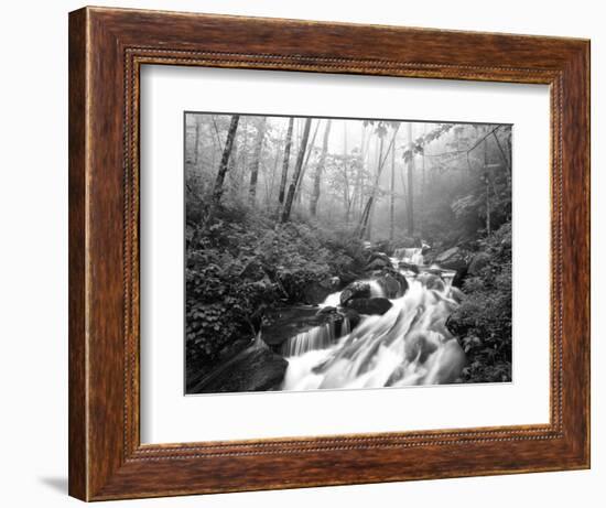 View of Cove Creek Covered with Fog, Pisgah National Forest, North Carolina, USA-Adam Jones-Framed Photographic Print