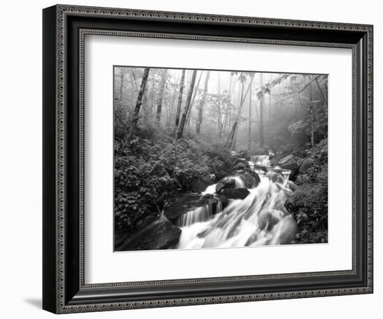 View of Cove Creek Covered with Fog, Pisgah National Forest, North Carolina, USA-Adam Jones-Framed Photographic Print