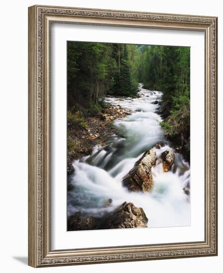 View of Crystal River Colorado, Gunnison National Forest, Colorado, USA-Adam Jones-Framed Photographic Print