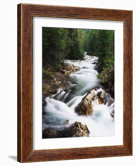 View of Crystal River Colorado, Gunnison National Forest, Colorado, USA-Adam Jones-Framed Photographic Print