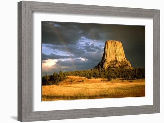 View of Devil's Tower, a Basalt Outcrop-Tony Craddock-Framed Photographic Print