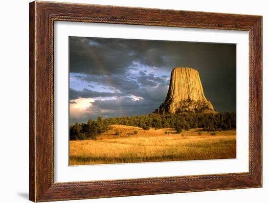 View of Devil's Tower, a Basalt Outcrop-Tony Craddock-Framed Photographic Print