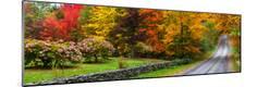 Photographic Print