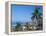 View of Downtown Puerto Vallarta and the Bay of Banderas, Mexico-Merrill Images-Framed Premier Image Canvas