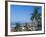 View of Downtown Puerto Vallarta and the Bay of Banderas, Mexico-Merrill Images-Framed Photographic Print