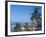 View of Downtown Puerto Vallarta and the Bay of Banderas, Mexico-Merrill Images-Framed Photographic Print