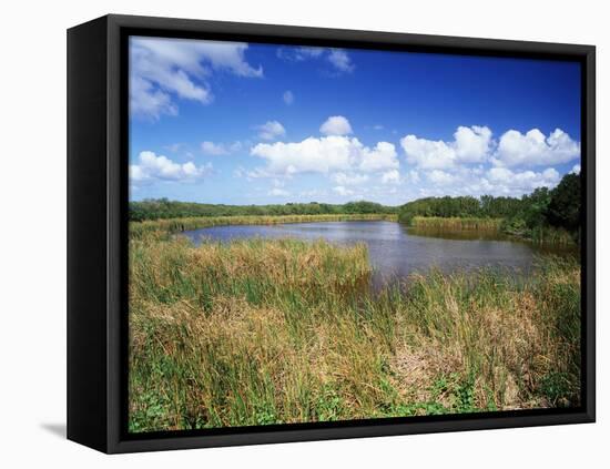 View of Eco Pond, Everglades National Park, Florida, USA-Adam Jones-Framed Premier Image Canvas