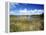View of Eco Pond, Everglades National Park, Florida, USA-Adam Jones-Framed Premier Image Canvas