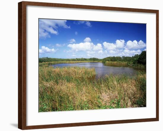 View of Eco Pond, Everglades National Park, Florida, USA-Adam Jones-Framed Photographic Print