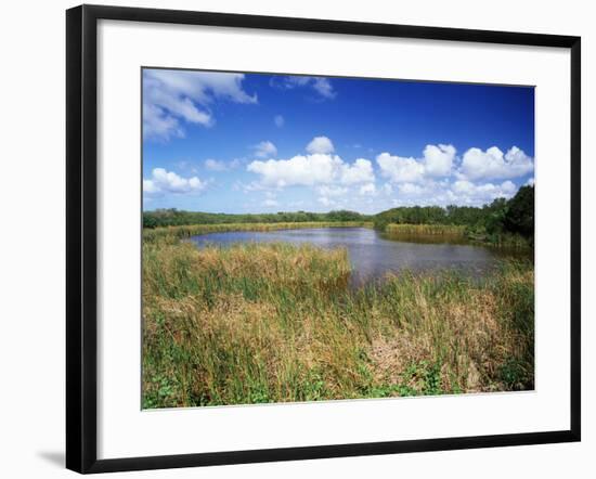 View of Eco Pond, Everglades National Park, Florida, USA-Adam Jones-Framed Photographic Print