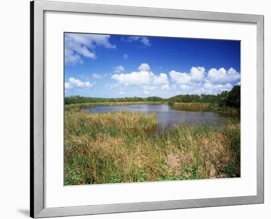 View of Eco Pond, Everglades National Park, Florida, USA-Adam Jones-Framed Photographic Print