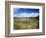 View of Eco Pond, Everglades National Park, Florida, USA-Adam Jones-Framed Photographic Print