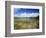 View of Eco Pond, Everglades National Park, Florida, USA-Adam Jones-Framed Photographic Print