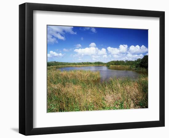 View of Eco Pond, Everglades National Park, Florida, USA-Adam Jones-Framed Photographic Print