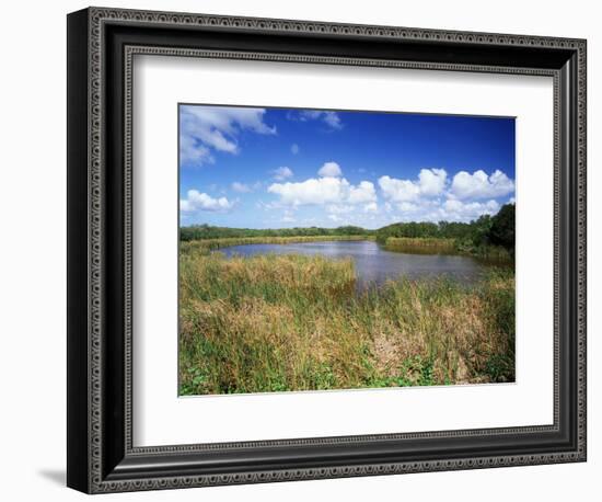 View of Eco Pond, Everglades National Park, Florida, USA-Adam Jones-Framed Photographic Print