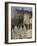 View of Edinburgh Castle from Grassmarket, Edinburgh, Lothian, Scotland, United Kingdom, Europe-Ethel Davies-Framed Photographic Print