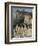 View of Edinburgh Castle from Grassmarket, Edinburgh, Lothian, Scotland, United Kingdom, Europe-Ethel Davies-Framed Photographic Print