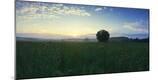 Photographic Print