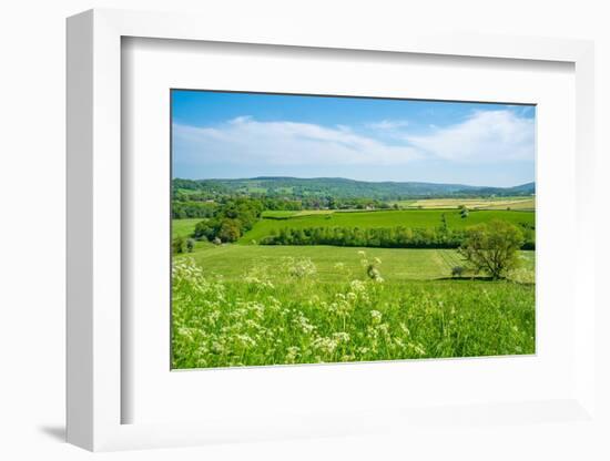 View of farmland and Baslow village during spring, Peak District National Park, Derbyshire, England-Frank Fell-Framed Photographic Print