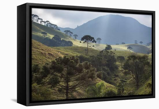 View of Farmland at Sunset in Sao Francisco Xavier Region-Alex Saberi-Framed Premier Image Canvas