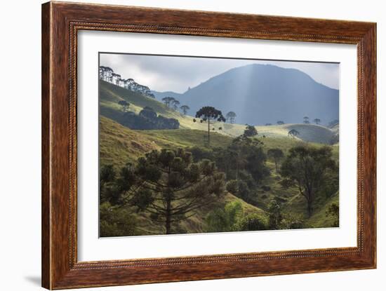 View of Farmland at Sunset in Sao Francisco Xavier Region-Alex Saberi-Framed Photographic Print