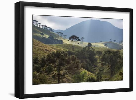 View of Farmland at Sunset in Sao Francisco Xavier Region-Alex Saberi-Framed Photographic Print