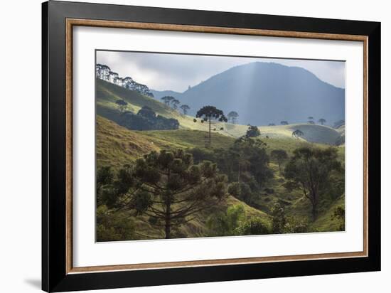 View of Farmland at Sunset in Sao Francisco Xavier Region-Alex Saberi-Framed Photographic Print