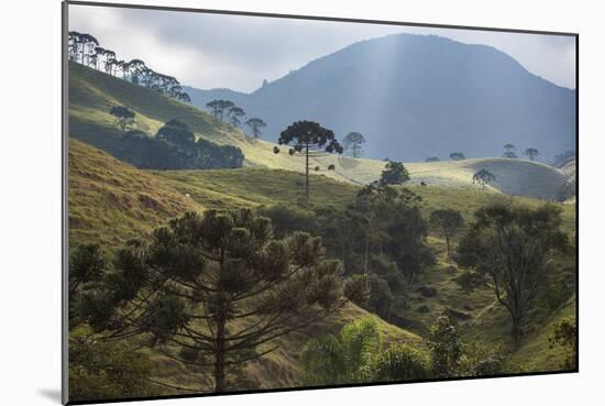 View of Farmland at Sunset in Sao Francisco Xavier Region-Alex Saberi-Mounted Photographic Print