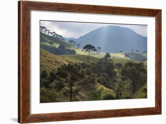 View of Farmland at Sunset in Sao Francisco Xavier Region-Alex Saberi-Framed Photographic Print