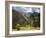 View of Farmland at Sunset in Sao Francisco Xavier Region-Alex Saberi-Framed Photographic Print