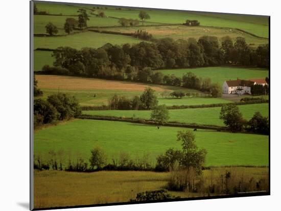 View of Farmlands from Glastonbury Tor, Glastonbury, Somerset, England-Walter Bibikow-Mounted Photographic Print
